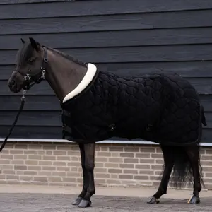 Zewnętrzna derka dla koni Imperial Riding Bandit DR 0 g image-6