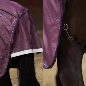 Coperta da paddock per cavalli Imperial Riding Super-dry 200 g image-3