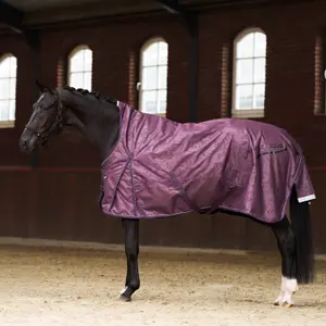 Coperta da paddock per cavalli Imperial Riding Super-dry 200 g image-6