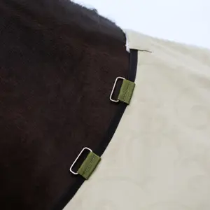 Couverture anti-mouches et pluie pour cheval Imperial Riding Super-dry image-4