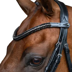 Stirnband für Pferd Imperial Riding Clincher image-0