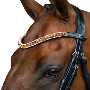 Frontal for horse Imperial Riding Grande image-0