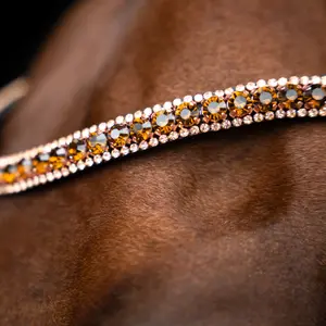 Frontal for horse Imperial Riding Grande image-1