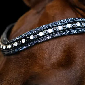 Frontal for horse Imperial Riding Maxima image-1