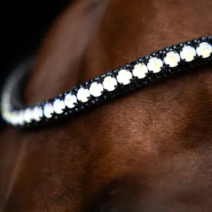 Frontal for horse Imperial Riding Maxima image-1