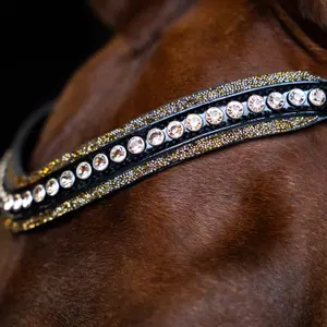 Frontal for horse Imperial Riding Maxima image-1