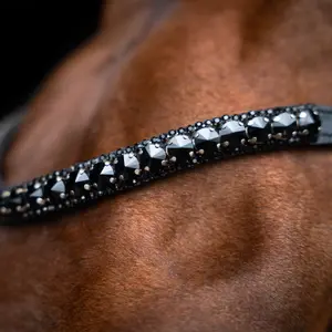 Frontal for horse Imperial Riding Maxima image-1