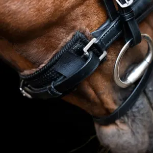 Fur Chin Strap Imperial Riding image-1