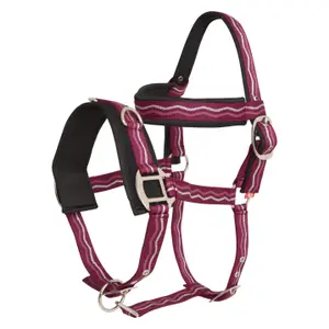 Hästbox i nylon Imperial Riding image-0