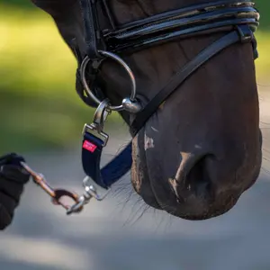 Allians för bitar till nylonlinor Imperial Riding image-1