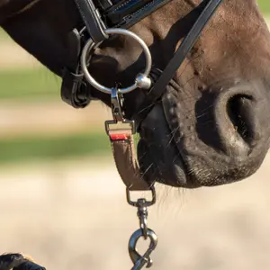 Aliança para pontas de cordão de nylon Imperial Riding image-1