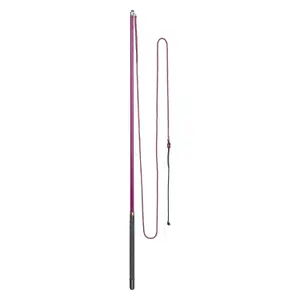 Riding whip Imperial Riding Carbone image-0