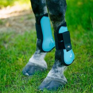 Stivali posteriori per cavalli Imperial Riding Lovely image-1