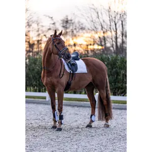 Podkowy koni Imperial Riding Lovely image-1