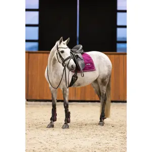 Podkowy koni Imperial Riding Lovely image-1