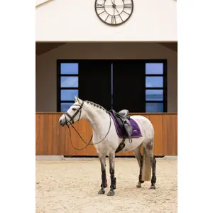 Podkowy koni Imperial Riding Lovely image-1