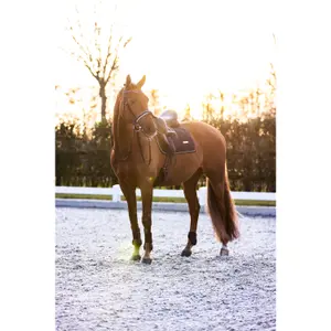 Podkowy koni Imperial Riding Lovely image-1