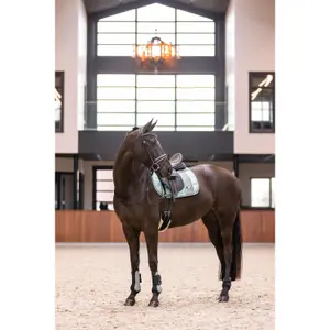 Podkowy koni Imperial Riding Lovely image-1