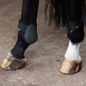 Podkowy koni Imperial Riding Lovely image-1