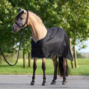 Outdoor  Blanket Imperial Riding Mesh 0g image-0