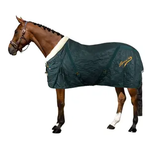 Coperta da stalla per cavalli Imperial Riding Super-dry 150 g image-0