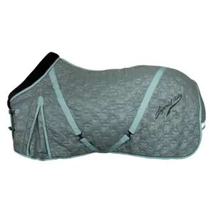 Coperta da stalla per cavalli Imperial Riding Super-dry 100 g image-0