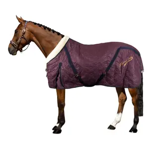 Coperta da stalla per cavalli Imperial Riding Super-dry 200 g image-1