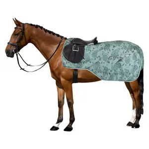 Nierendecken für Pferde Imperial Riding Ambient image-1