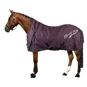 Coperta da esterno per cavalli Imperial Riding Super-dry 100 g image-0