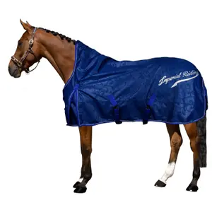 Coperta per cavalli all'aperto Imperial Riding Super-dry 0 g image-1