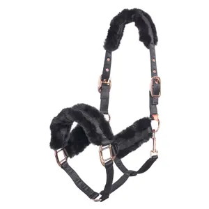 Halter for horse Imperial Riding Ambient image-0