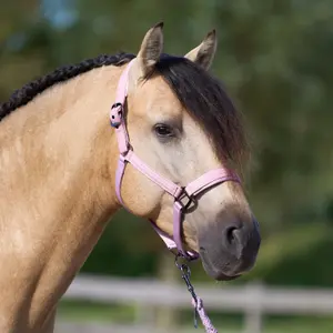 Halter for horse Imperial Riding Sparkle image-2