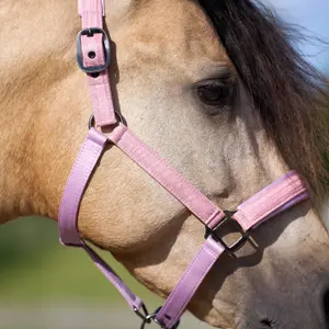 Halter for horse Imperial Riding Sparkle image-3