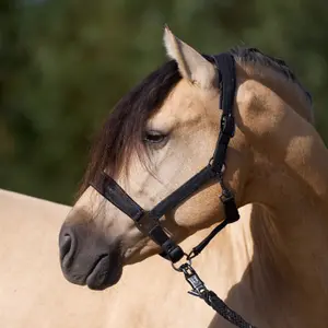Halter for horse Imperial Riding Sparkle image-2