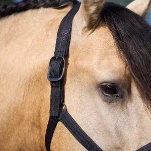 Halter for horse Imperial Riding Sparkle image-3