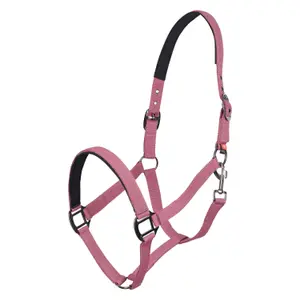 Halter for horse Imperial Riding Classic Sport image-0