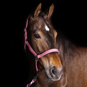 Halter for horse Imperial Riding Classic Sport image-1