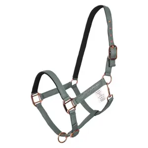 Halter for horse Imperial Riding Ambient image-0