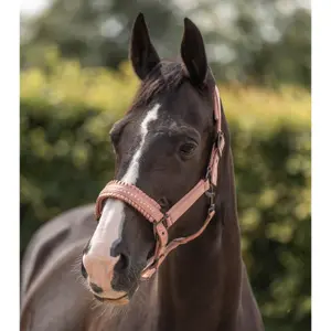 Halter for horse Imperial Riding Lovely image-1