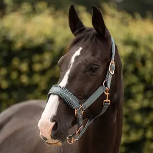 Licol pour cheval Imperial Riding Lovely image-1