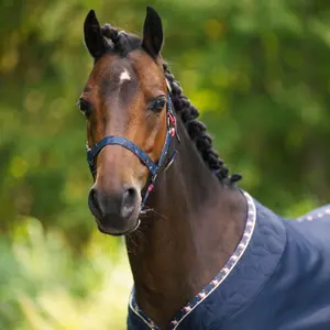 Licol pour cheval Imperial Riding Pandora image-1