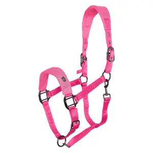 Halter for horse Imperial Riding Cloud Dancer image-0