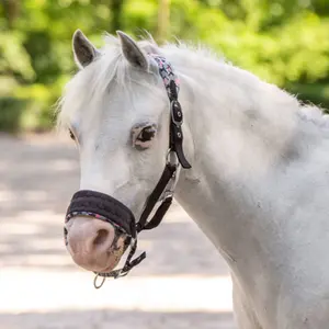 Halter for horse Imperial Riding Stormy image-1