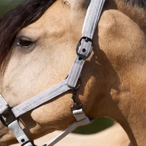 Halter for horse Imperial Riding Sparkle image-2