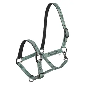Halter for horse Imperial Riding Ambient AOP image-0