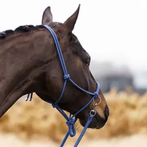 Pferdehalfter aus Seil Imperial Riding Free Ride image-3