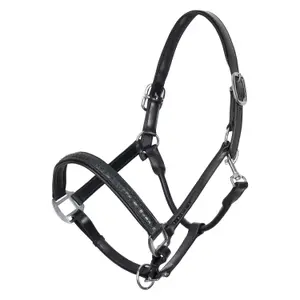 Halter for horse Imperial Riding Florida image-0