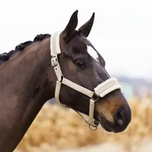 Halter for horse Imperial Riding Jewel image-1