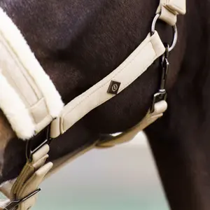 Halter for horse Imperial Riding Jewel image-3