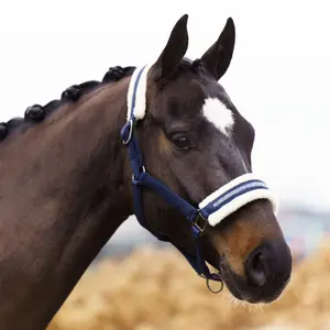 Halter for horse Imperial Riding Jewel image-1